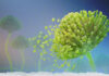 Researchers Tweak Antifungal Drug to Turn “Ampho-terrible” into “Ampho-terrific”