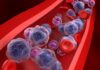 Overcoming Drug-Resistant Acute Myeloid Leukemia with Engineered Compound