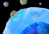 Streamlining CAR/TCR T-Cell Therapy Manufacturing