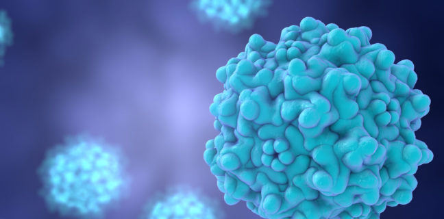 Adeno-associated virus serotype 1