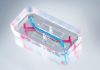 Cervix on a Chip Latest Advance for Women’s Health