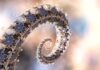 Could Octopuses Arm the Field of Therapeutic RNA Editing?