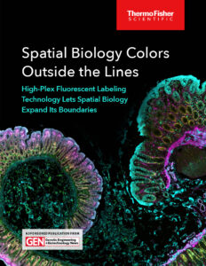 Thermo July 2024 eBook cover