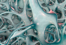 Osteoporosis Treatment Suggested by Bone-Protecting Hormone in Lactating Women