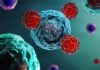 Unlocking Cell Therapy’s Full Potential by Rewiring T-Cell Metabolism