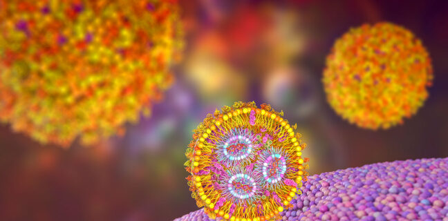 Lipid nanoparticle mRNA vaccine