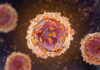 Modeling Clonal Evolution in Hematopoietic Malignancies