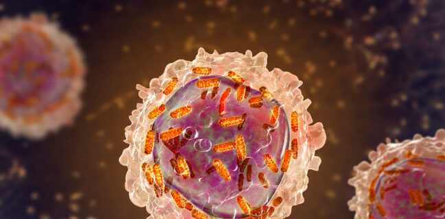 Leukaemia white blood cell with mitochondria, leukemia
