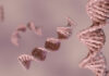 Spatial Omics: Improved Therapies for Head and Neck Carcinomas