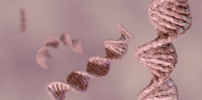 DNA