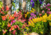 Scouring Nature for Better Biopharmaceuticals
