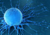 Pan-Cancer Proteogenomics Unlocks New Therapeutic Targets and Insights