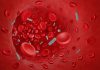 DNA Melting Curves Could Speed Blood-Borne Pathogen Detection