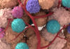 Cancer Treatment Approach Targets Resistance, Gene Drive Style