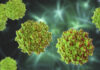 Adapting a Replication-Competent AAV Assay for Commercial Manufacturing