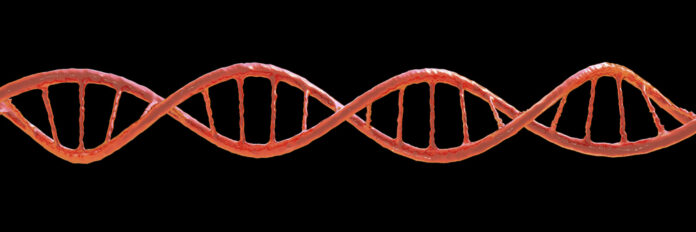 dna
