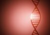 DNA Origami Selectively Triggers Cytotoxicity to Make Cancer Fold