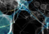 Sugar Rush: New Chemical Modification Improves ASO Targeting of CNS