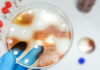 Antimicrobial Peptide Cocktail Leave Bacteria Shaken Up