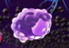 Meeting the Challenge of Manufacturing Macrophages