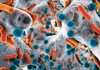 Machine Learning Digs Up a Treasure Trove of Antimicrobial Peptides