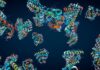 Is Proteomics the Next Big “Ome”?