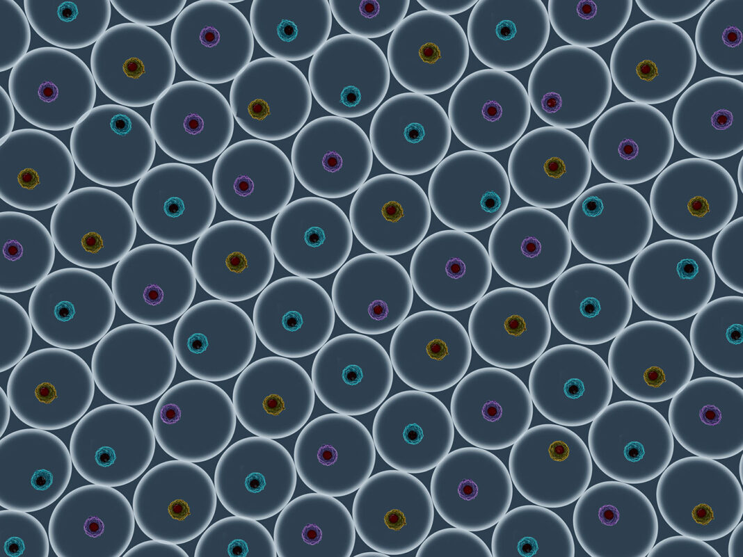 Single cell analysis