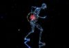 Opioid Drug Tolerance Linked to Cell Membrane Cholesterol Gene and Key GPCR