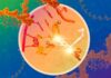 RNA Splicing Visualized, Easing the Design of Small-Molecule Modulators