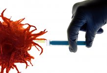 Liver Tumor Microproteins Could Be Key to Developing New Cancer Vaccines