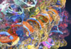 Evolution-Informed Protein Design Aims to Improve Functionality of Enzymes