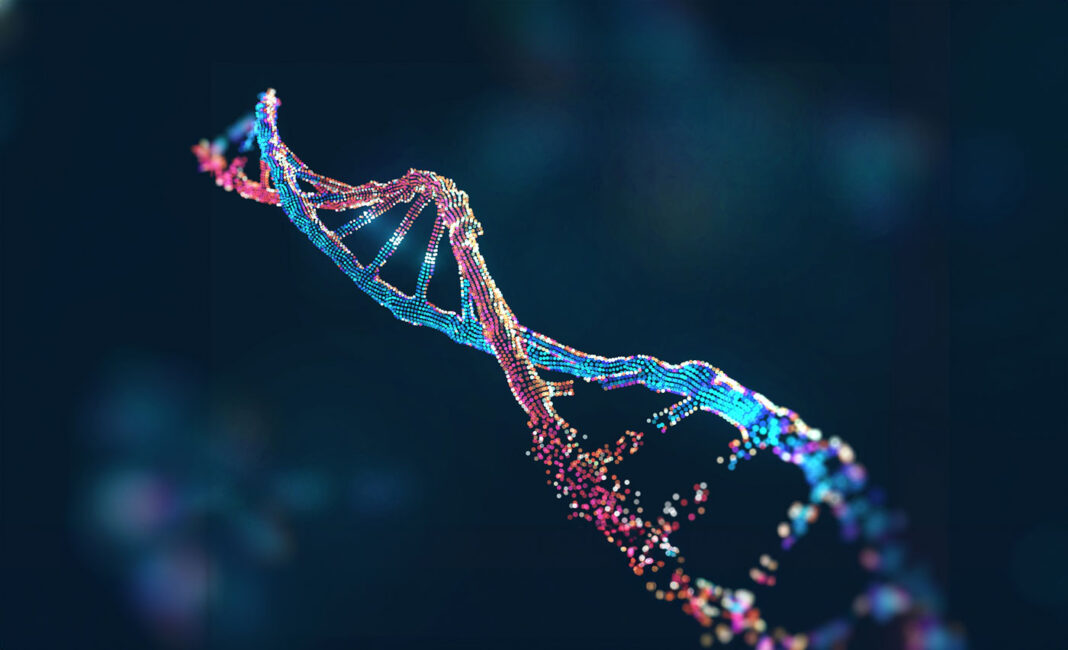 Left DNA