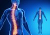 Spinal Cord Injury Complications May Be Prevented by Targeting Microglia