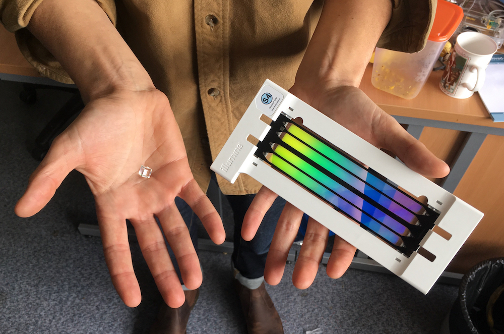 The size of Single Technologies' 3D DNA sequencing matrix