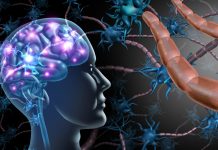 Brain Inflammation and Muscle Weakness Linked by Signaling Axis