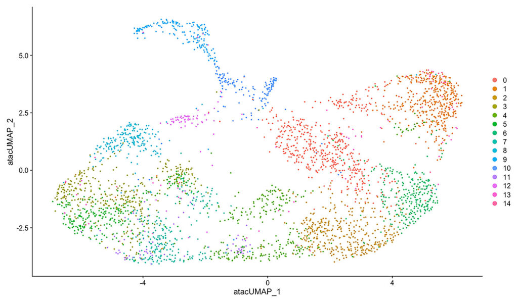 UMAP plot