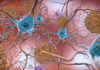Deep Dive into Brain’s Molecular Structures Affected by Alzheimer’s Disease